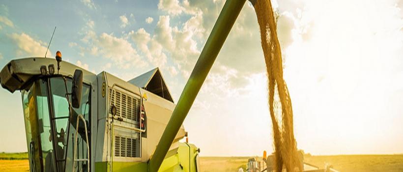 Seed Enhancement Product 