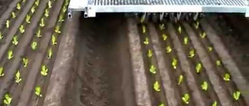 Seed Planting Machinery Market