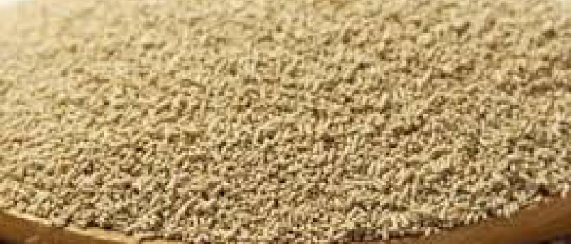 Selenium-enriched Yeast