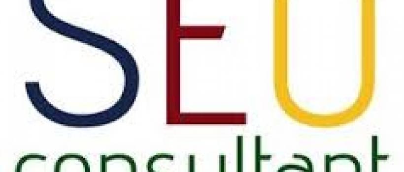seo consultants