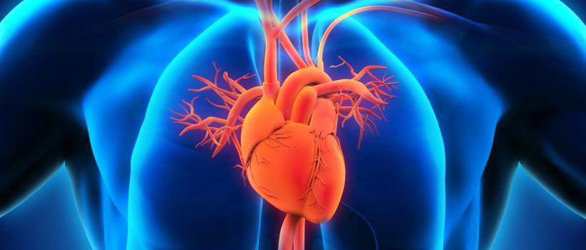 Severs Disease Treatment