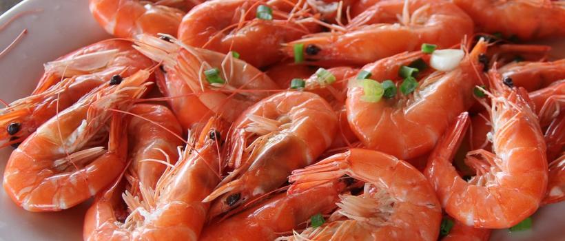 Shrimp Industry Report