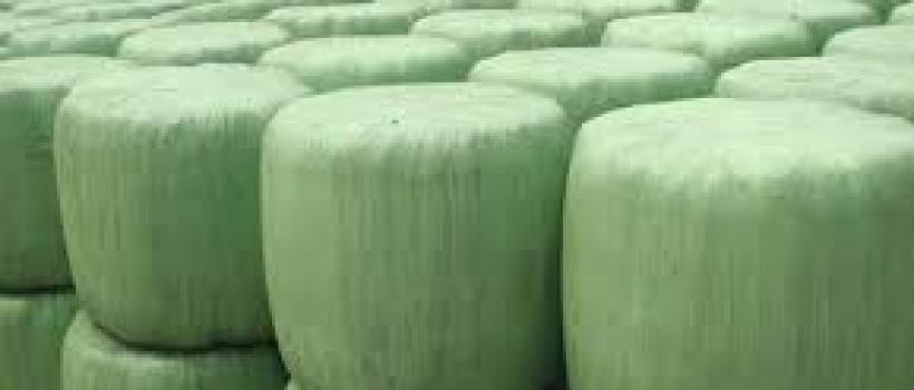 Silage Films market