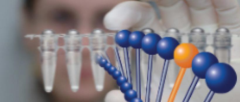 Single Nucleotide Polymorphism (SNP) Genotyping