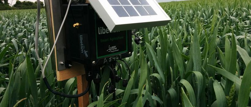 Smart Agriculture/Farming
