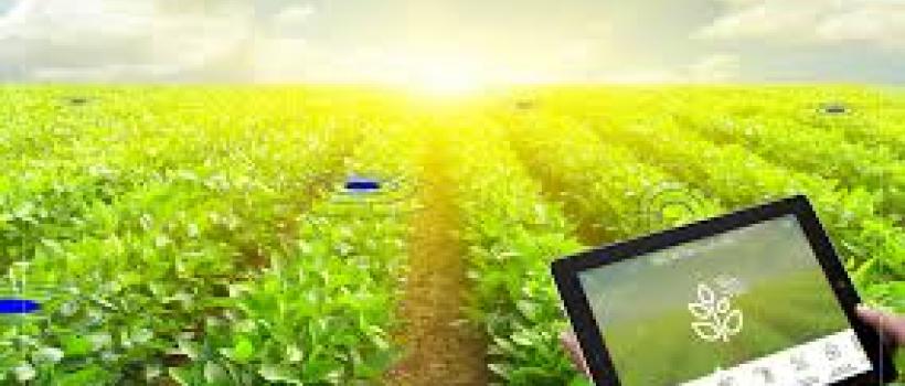 Smart Farming Market