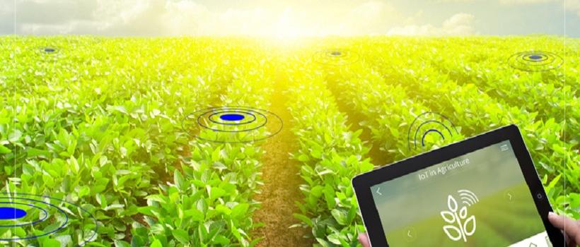  Smart Farming 