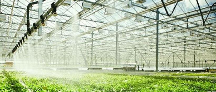 Smart Greenhouse Irrigation System 