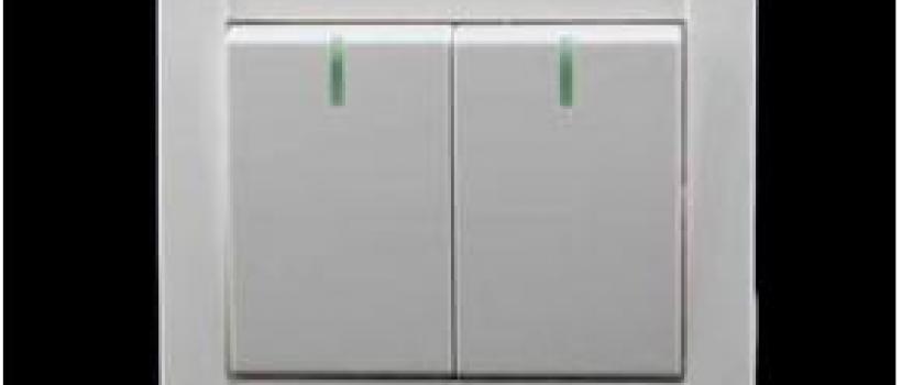 Snap-action Single-pole Switches market