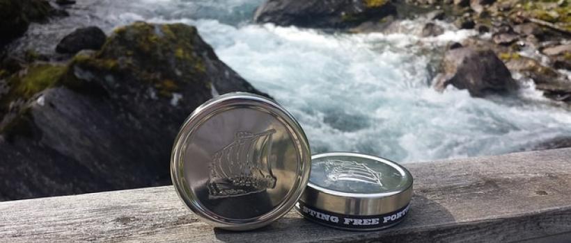 Snus Market-Fact.MR