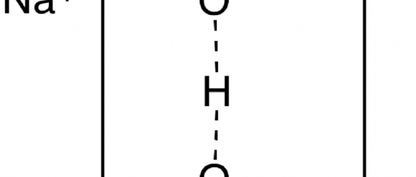 Sodium Hydrogen Diacetate