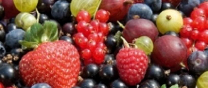 Soft Fruit
