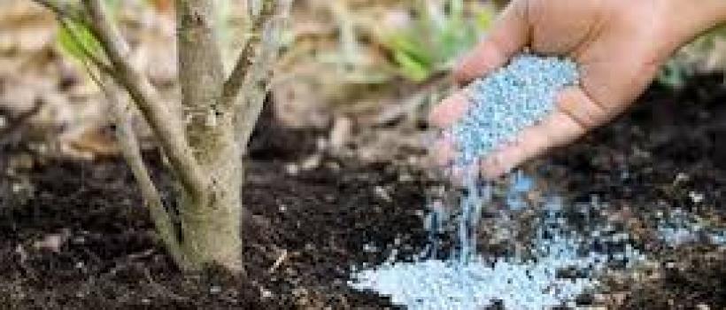 Soil Treatment