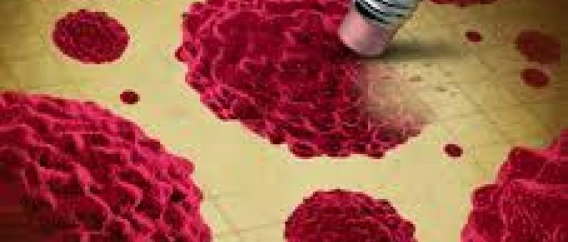 Solid Tumor Drugs