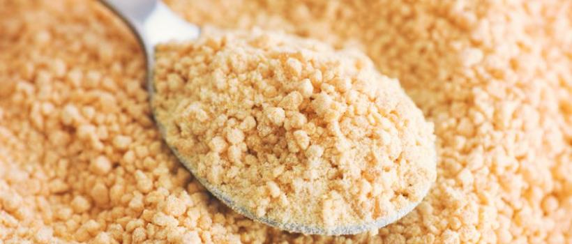 Soy Lecithin