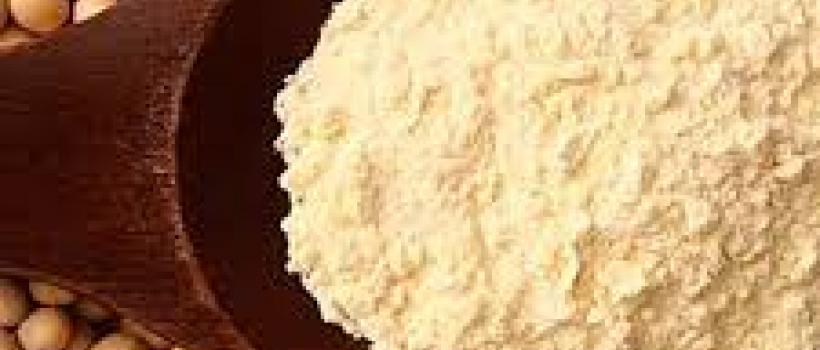 Soy Protein Market 