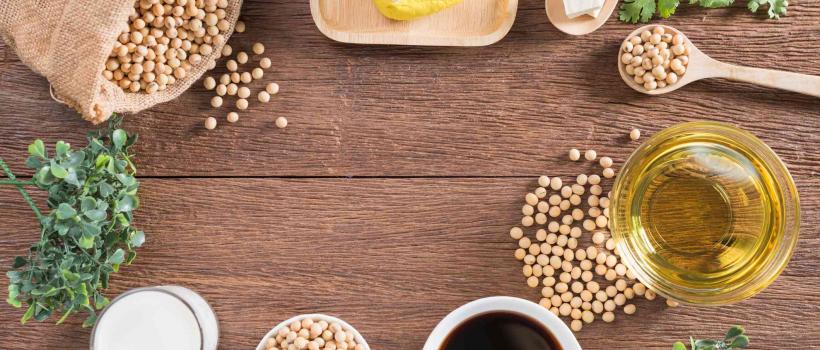 Soy-Based Chemicals Market