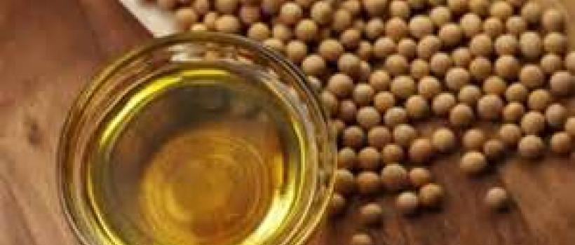 Soy-Based Chemicals