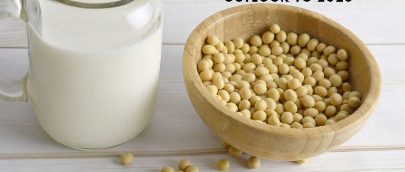 south africa soymilk & soy drinks market report
