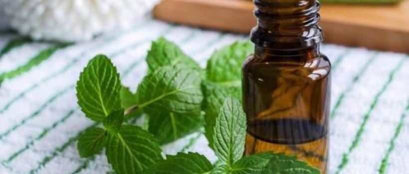 Spearmint Oil, Spearmint Oil Market, Spearmint Oil Market Growth
