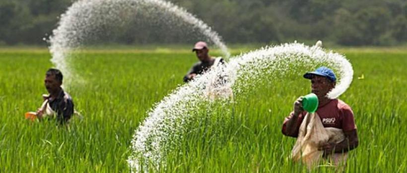 Specialty Fertilizers, Specialty Fertilizers Market, Specialty Fertilizers Market Growth