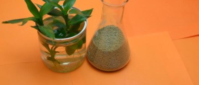 Specialty Zeolites