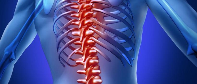 Spine Biologics