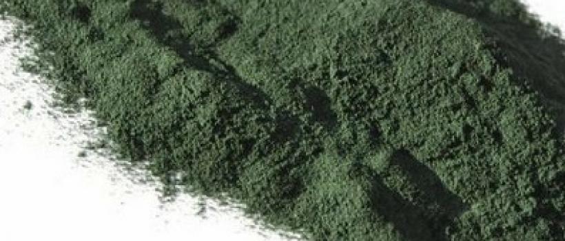 Global Spirulina Extract Market 