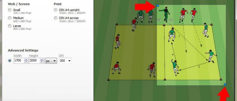 sports software market