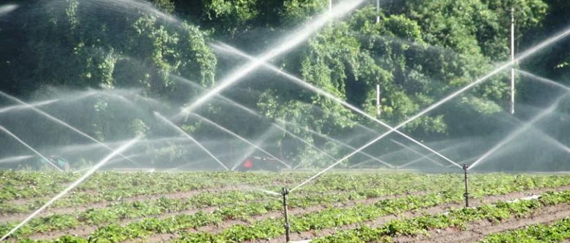 Sprinkler Irrigation Systems Market