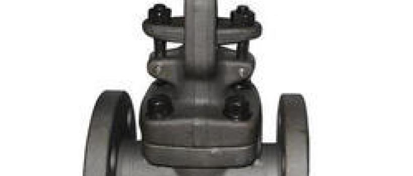 Steam Valve