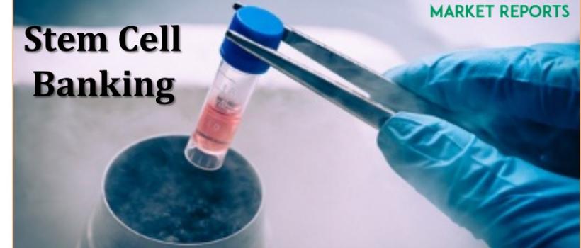 Stem Cell Banking