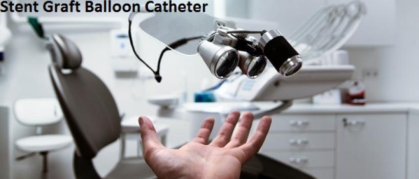 Stent Graft Balloon Catheter- Fact.MR