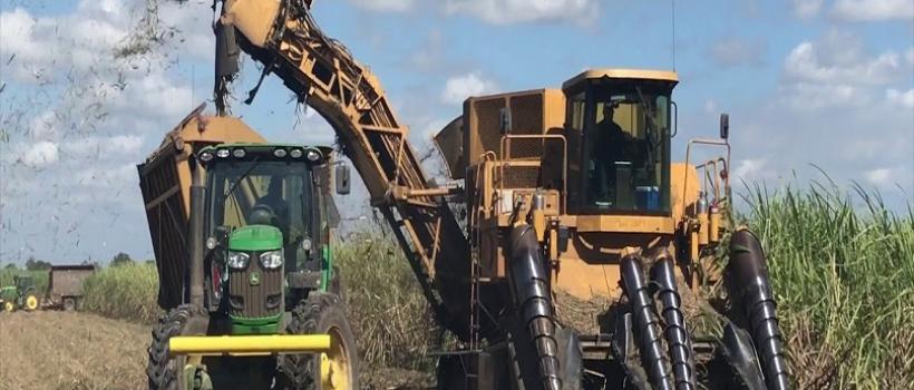 Sugar Cane Harvester 