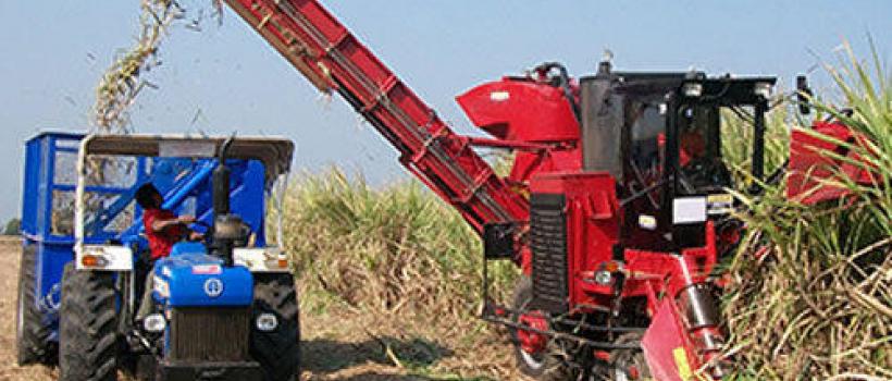 Sugarcane Harvester 