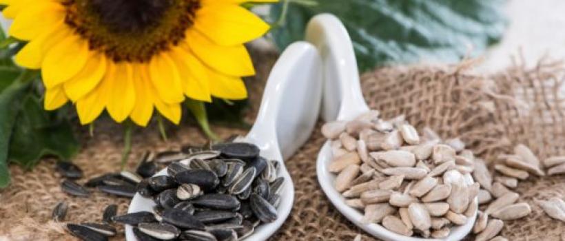 Sunflower Seeds