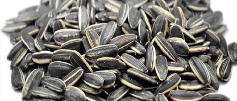 Sunflower Seeds, Sunflower Seeds Market, Sunflower Seeds Market Growth