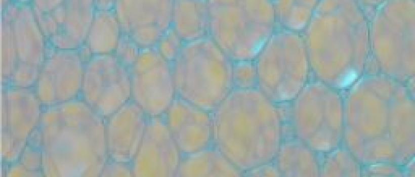 Global Surface Active Agents Market Report 2020