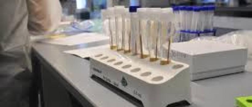 Synthetic Biology Tools Market 