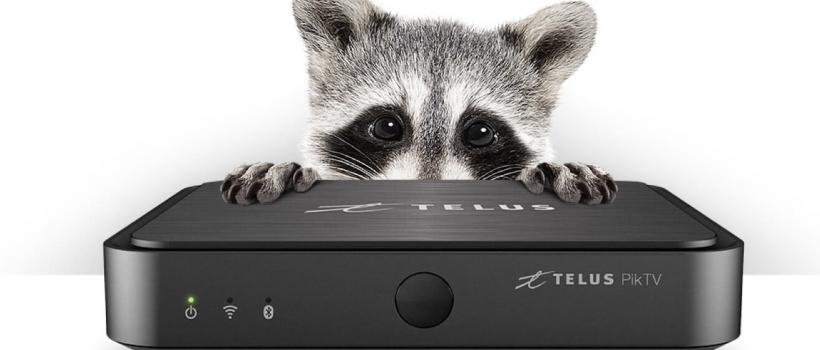 The tale of iBravebox satellite TV receiver
