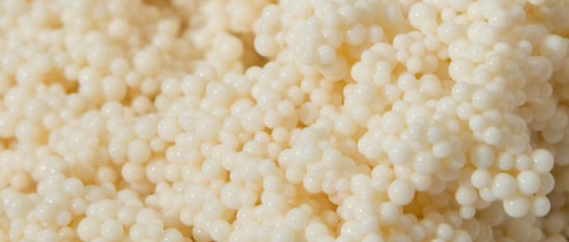 Tannin Resin, Tannin Resin Market, Tannin Resin Market Growth