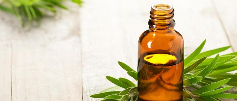  Tea Tree Oil Market 