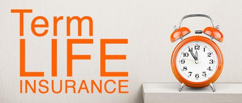  Term Life Insurance Market