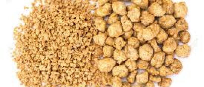  Textured Soy Protein Market