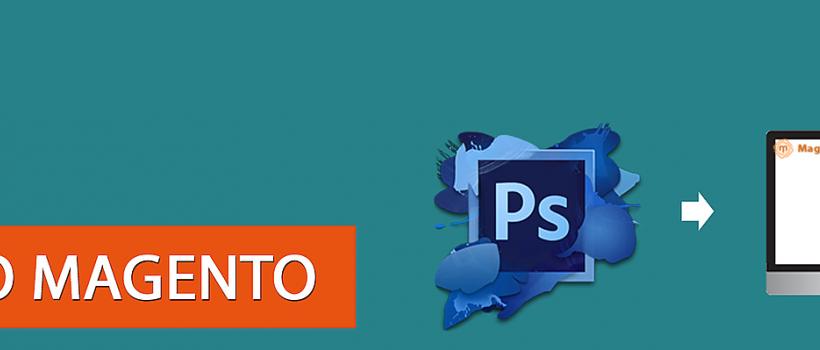 Magento Developers