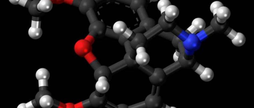 Thebaine, Thebaine Market, Thebaine Market Growth