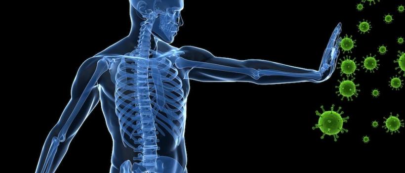 Tissue Engineering and Regeneration Market