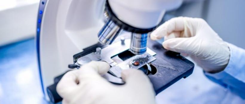 Tissue Diagnostics
