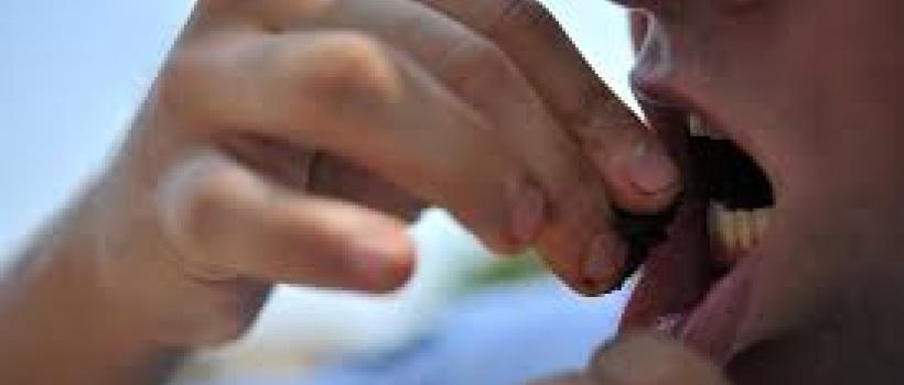 Tobacco , Tobacco Market, Tobacco Market Growth, Presses Release, Tobacco Manufacturers, Tobacco Status, Tobacco Market Size, Tobacco Dec 2013, News Release