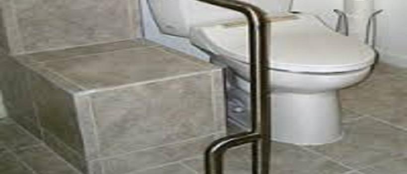 Toilet Grab Bars
